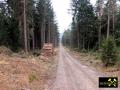 Quarzitklippen am Gipfel des Hirschenstein bei Hartmannsdorf nahe Kirchberg im Erzgebirge, Sachsen, (D) (27) Forstweg zum Hirschenstein.JPG